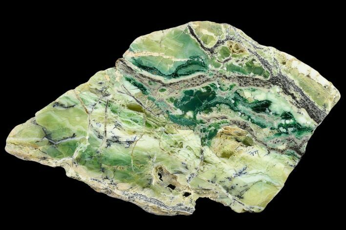 Polished Green-White Opal Slab - Western Australia #132922